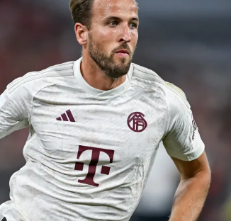 锋线角色归 锋线角色归